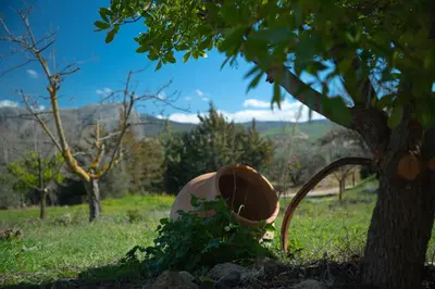 Paisaje cerca de esta casa o chalet