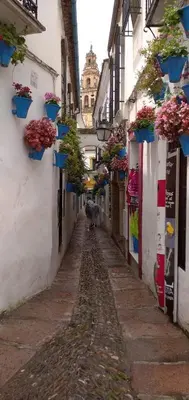 Plano de Apartamento Flor de Córdoba
