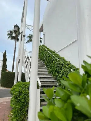 Jardín al aire libre en Hospedium Hotel Sky Blu Torre de Sevilla