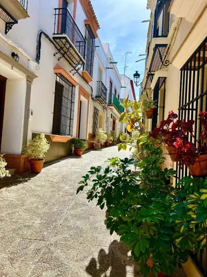 El barrio de los alrededores o un barrio cerca de esta casa o chalet