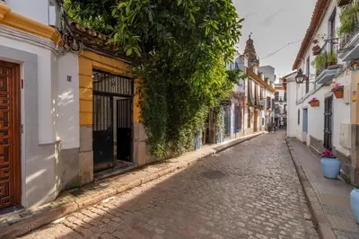 El barrio de los alrededores o un barrio cerca de este apartamento