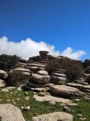 Paisaje cerca de este apartamento