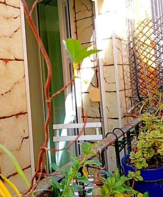 Un balcón o terraza de La Casa de las Flores Sevilla