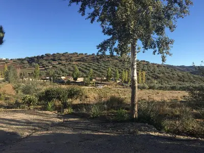 Paisaje cerca de este hotel
