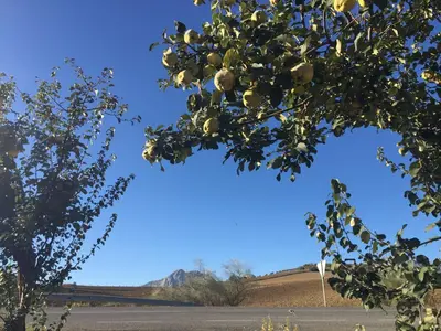 Paisaje cerca de este hotel