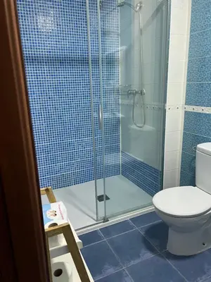 Un baño de Alojamientos Claus