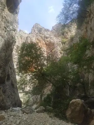 Paisaje cerca de esta casa o chalet