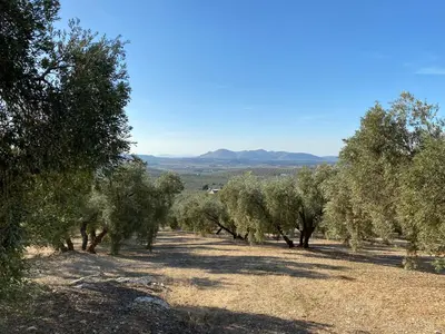 Paisaje cerca de esta villa