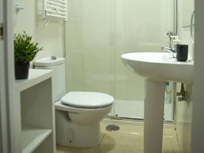 Un baño de Apto en centro setas Sevilla