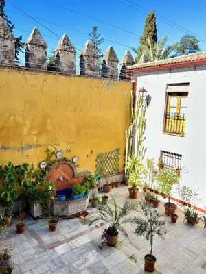 Jardín al aire libre en El Patio de Wallada