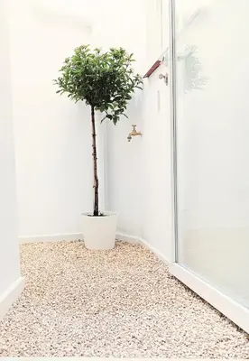 Plano de María Luisa Home