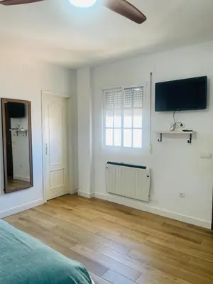 Una televisión o centro de entretenimiento en Patio de Los Barberos 3