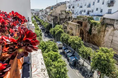 El barrio de los alrededores o un barrio cerca de esta casa o chalet