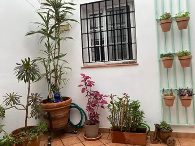 Jardín al aire libre en Enmitatiko Alcázar Viejo