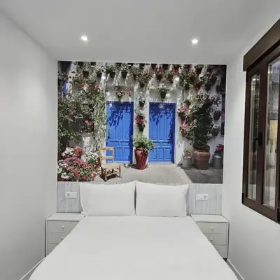 Nueva PENSION CIBELES
