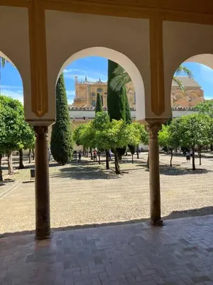 Jardín al aire libre en Precioso apartamento junto a la Mezquita.
