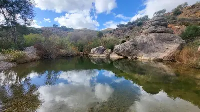 Paisaje cerca de este apartamento