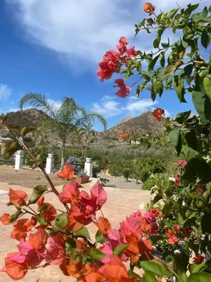Paisaje cerca de este bed & breakfast