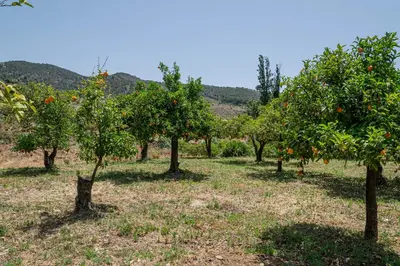 Paisaje cerca de este bed & breakfast