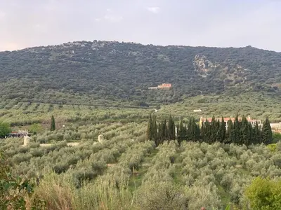 Paisaje cerca de esta casa o chalet