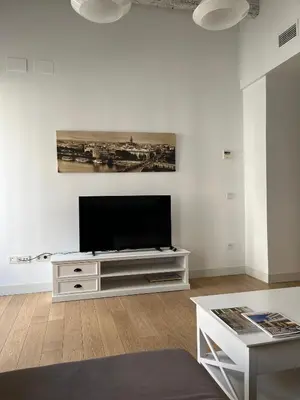Una televisión o centro de entretenimiento en Balcones de Jauregui Premium Apartment