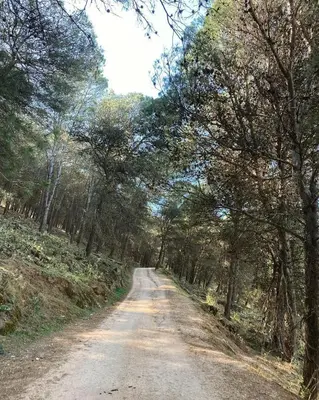 Paisaje cerca de este apartamento