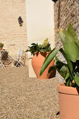 Plano de Casa de la Abuela Dolores