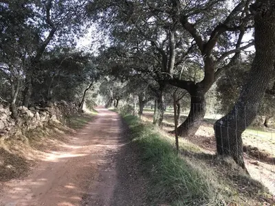 Paisaje cerca de esta casa o chalet