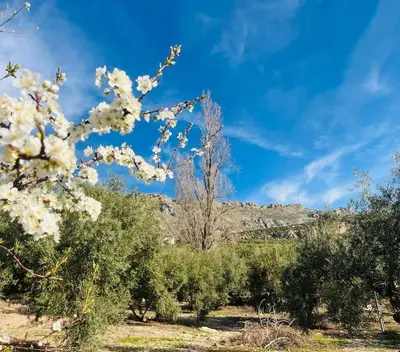 Paisaje cerca de esta casa o chalet