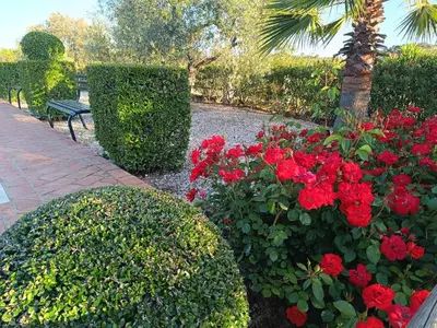 Jardín al aire libre en Casa Rural La Loba