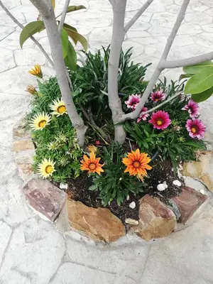 Jardín al aire libre en Casa Rural La Loba