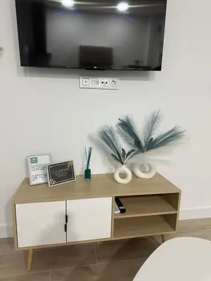 Una televisión o centro de entretenimiento en Loft La Parada Córdoba