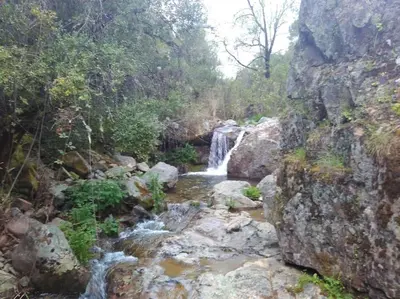 Paisaje cerca de esta casa o chalet