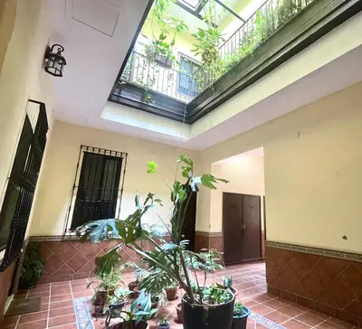 Jardín al aire libre en Eva Recommends Plaza de San Marcos