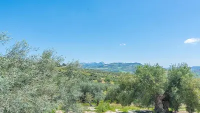 Paisaje cerca de esta casa o chalet
