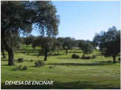 Paisaje cerca de esta casa o chalet