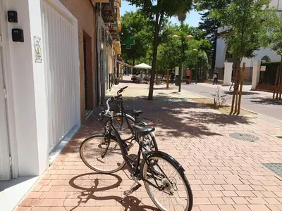 Montar en bicicleta en The Urban Elegance Suite o alrededores