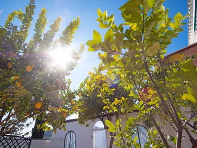 Jardín al aire libre en Holiday Home Nina Celi by Interhome