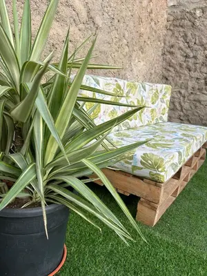 Jardín al aire libre en Casa Rural La Barranca
