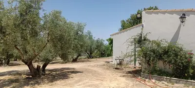 Jardín al aire libre en Finca Olivo Llorón