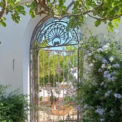 Finca Olivo Llorón