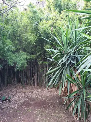 Jardín al aire libre en Ctro de Naturaleza Cañada Verde 