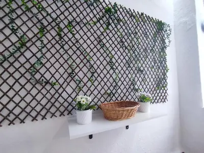 Plano de Apartamento Turístico Córdoba Centro Jardín