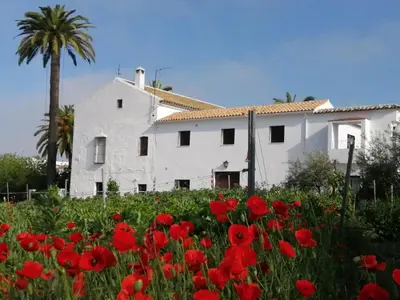 Jardín al aire libre en Alojamiento Las Palmeras