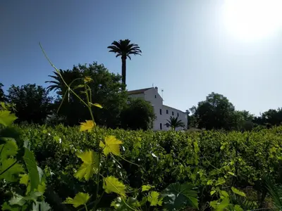 Jardín al aire libre en Alojamiento Las Palmeras