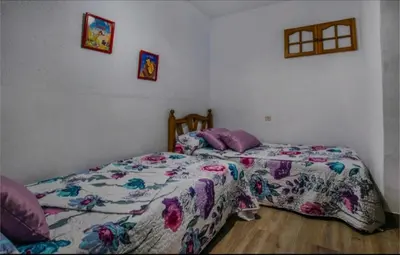 Cama o camas de una habitación en La Parrita