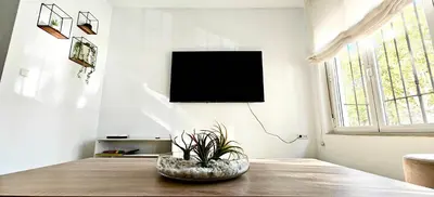 Una televisión o centro de entretenimiento en Suite Deluxe Puerta de Almodóvar