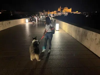 Mascotas con sus dueños en Irache Dreams