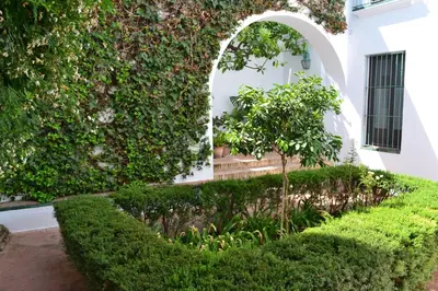 Jardín al aire libre en SunShine Patio de la Hoguera