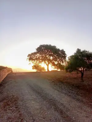 Amanecer o atardecer desde el bed & breakfast o alrededores